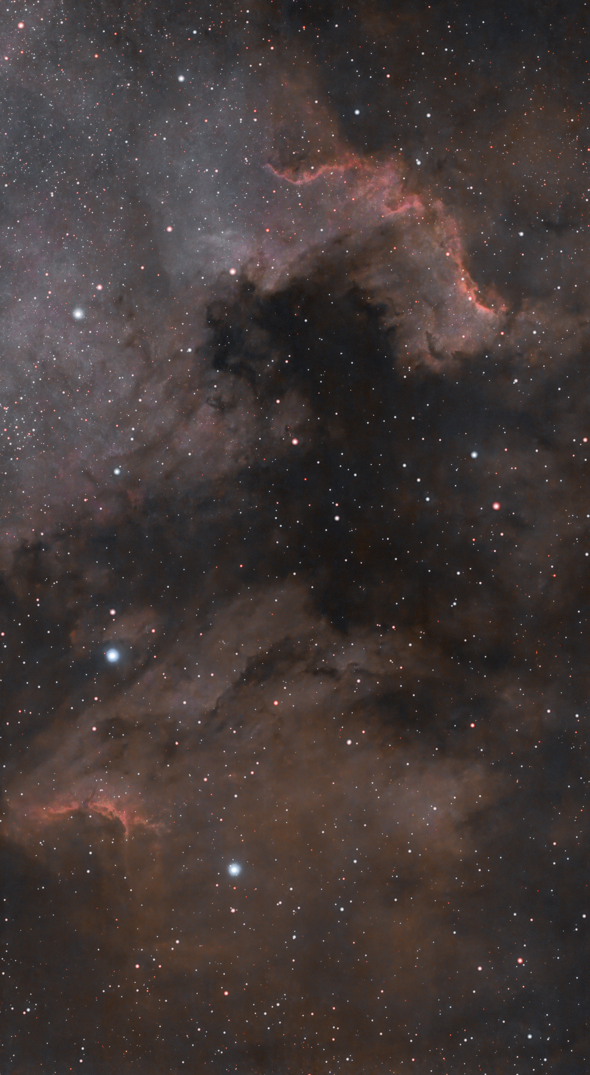 Astrophotograph of the North America Nebula