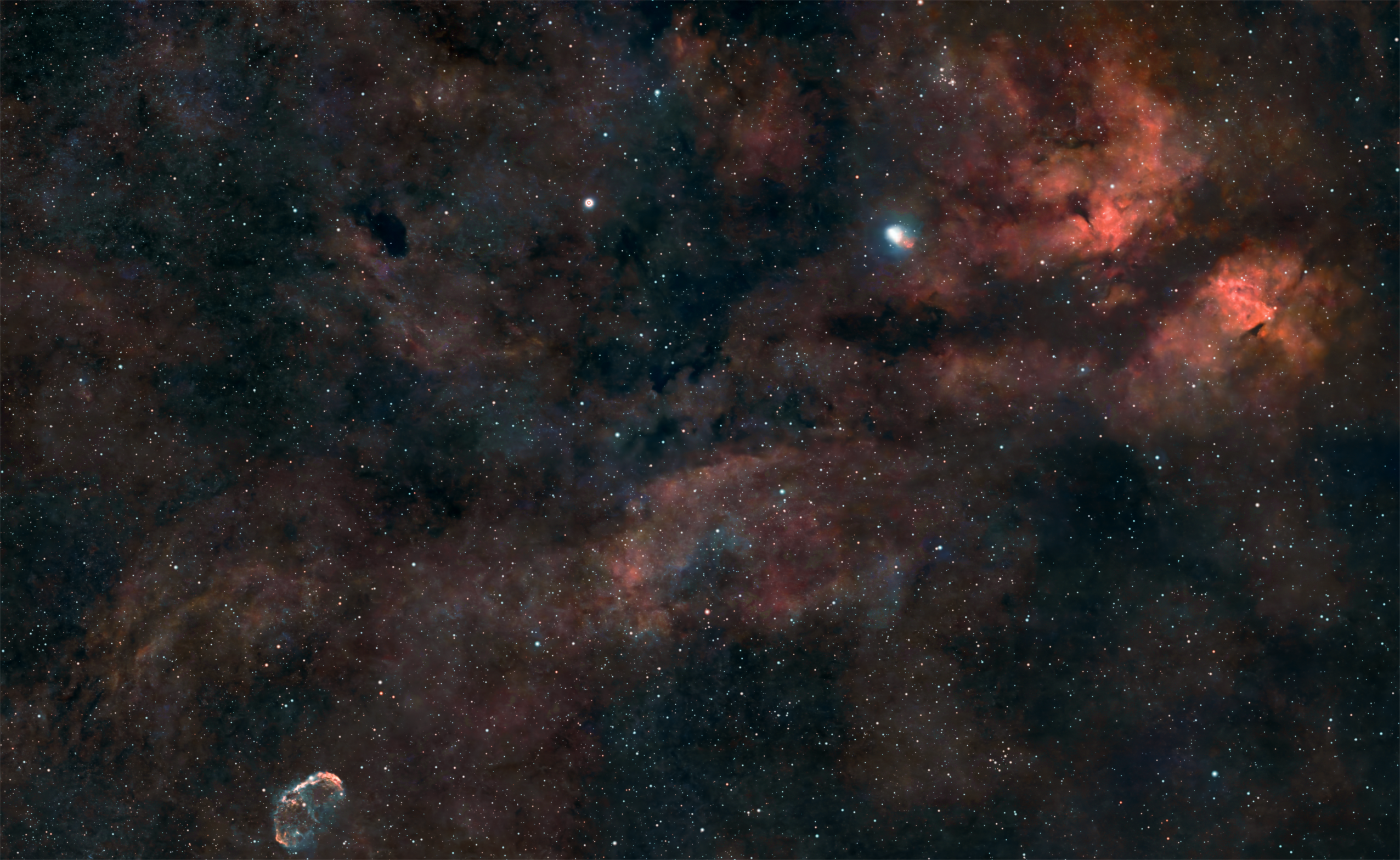 Astrophotograph of the Sadr and Crescent Nebula region